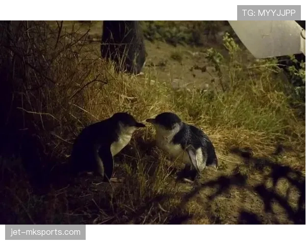 辛德hu训练完直接啃冰块？这自律程度我连边都摸不着